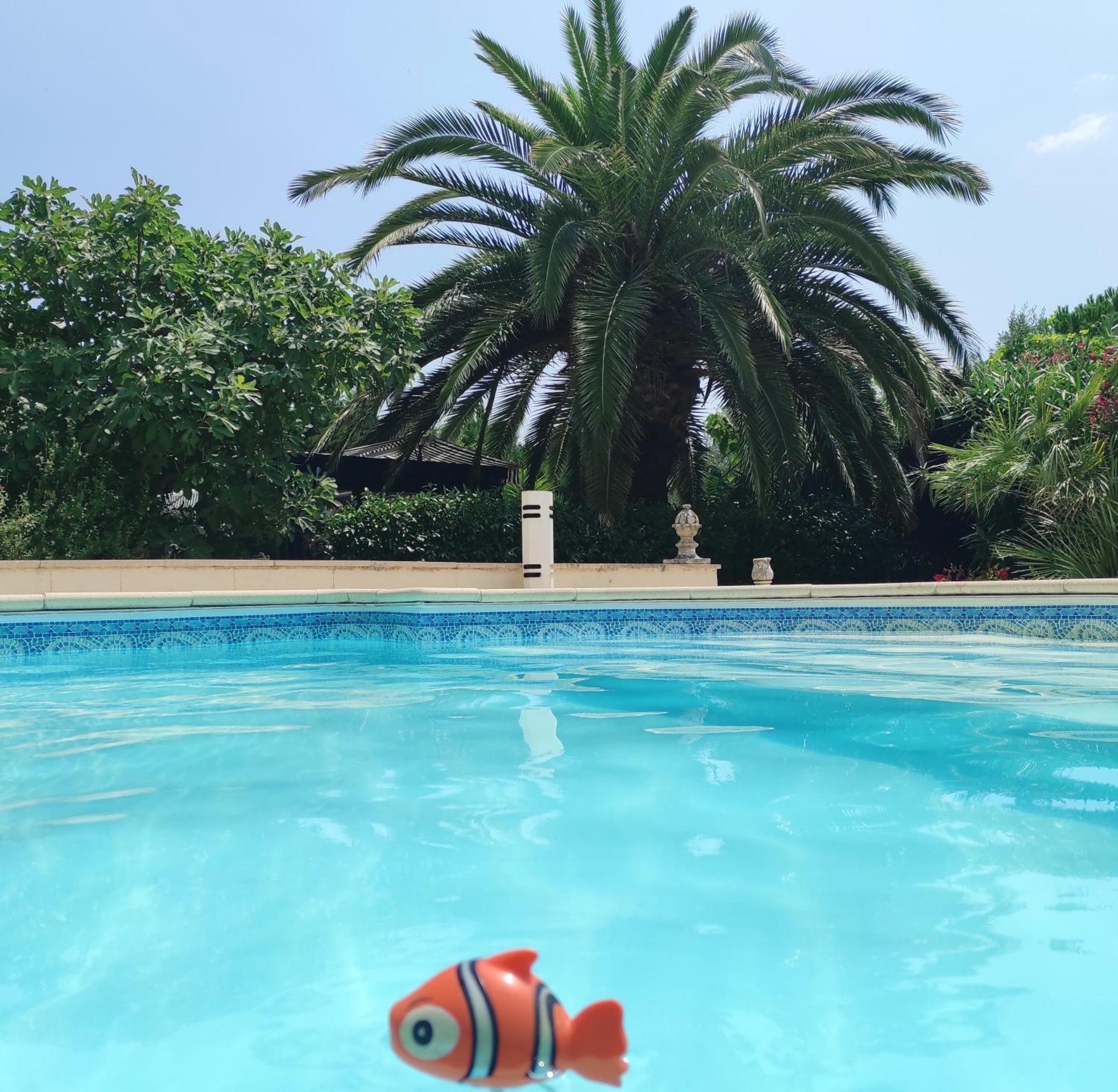 Villa Angel - Spa Caunes-Minervois 外观 照片