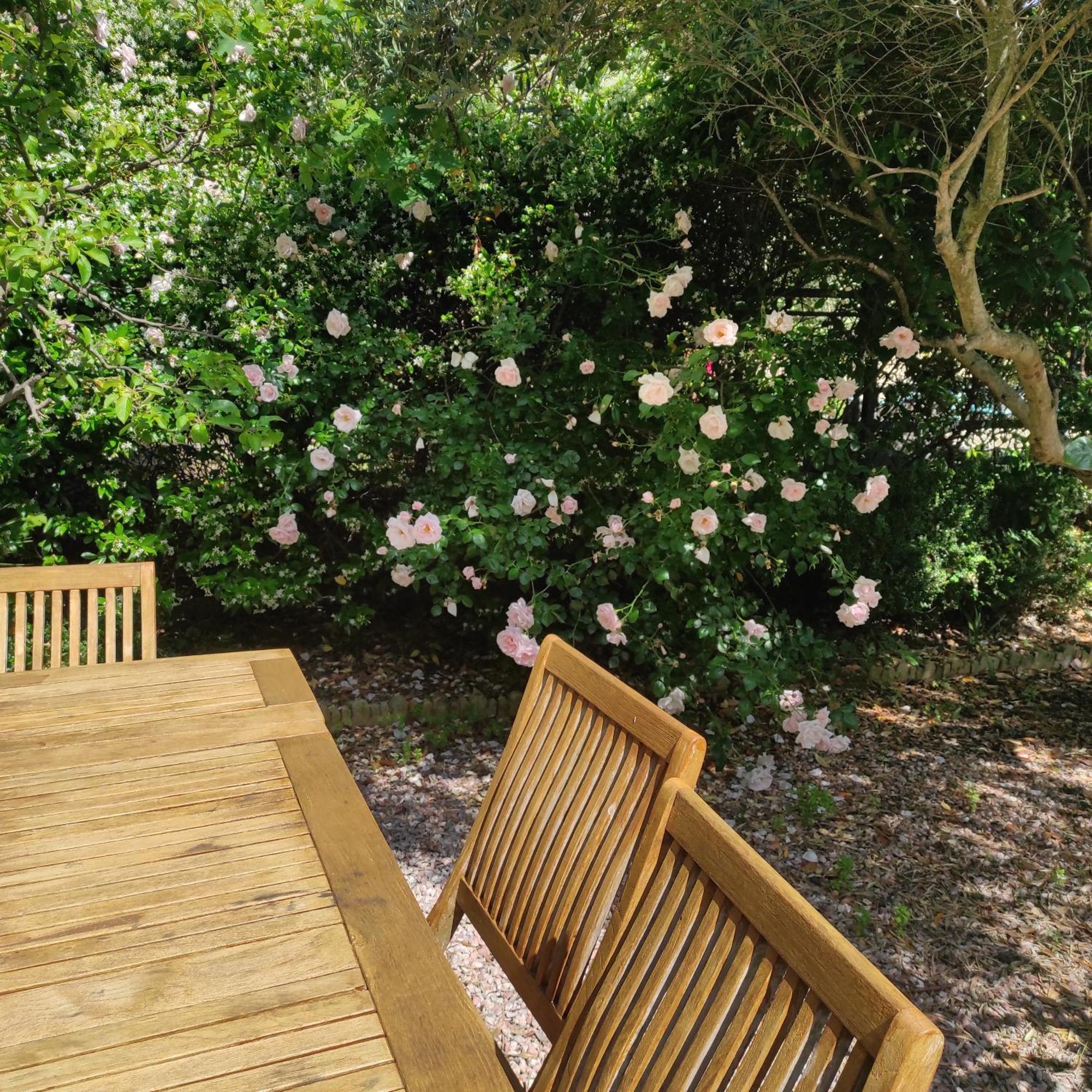 Villa Angel - Spa Caunes-Minervois 外观 照片
