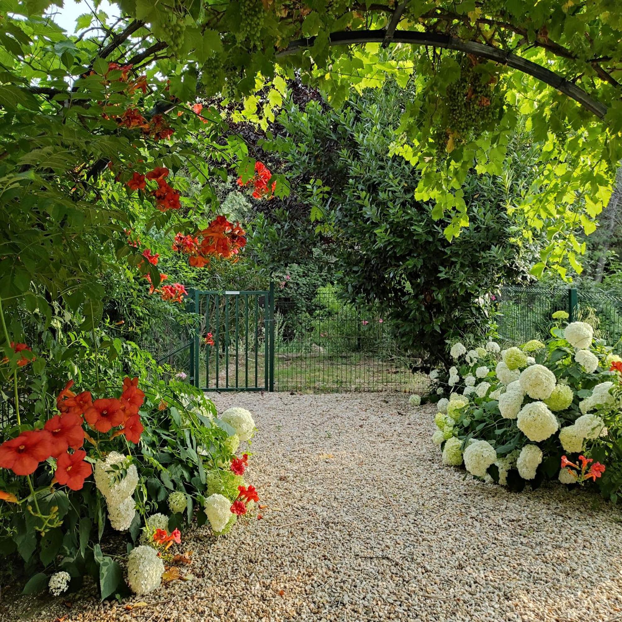 Villa Angel - Spa Caunes-Minervois 外观 照片