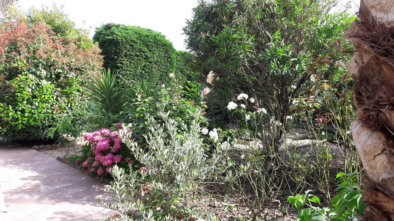 Villa Angel - Spa Caunes-Minervois 外观 照片