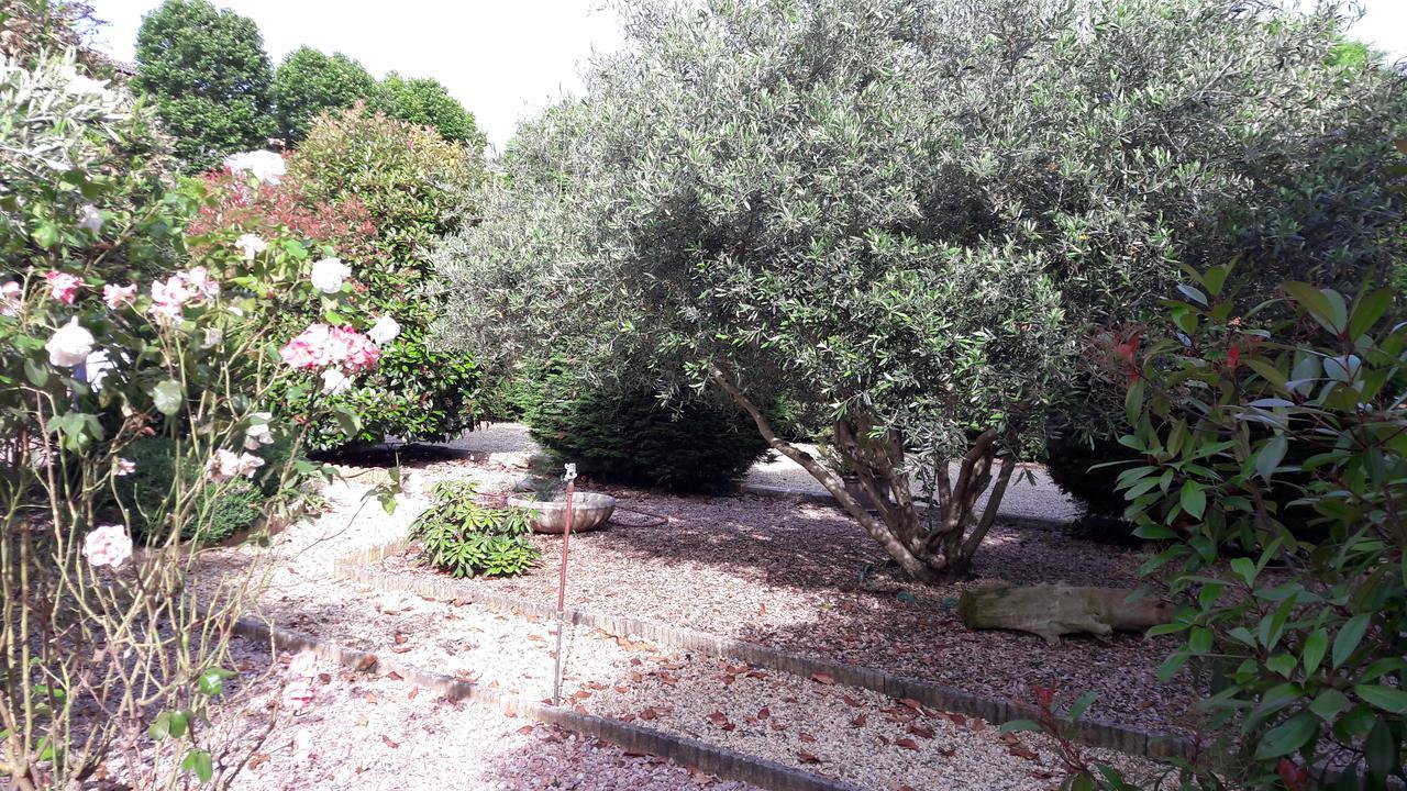 Villa Angel - Spa Caunes-Minervois 外观 照片